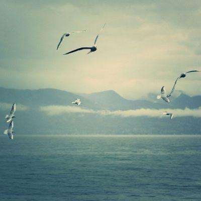 im电竞官网注册